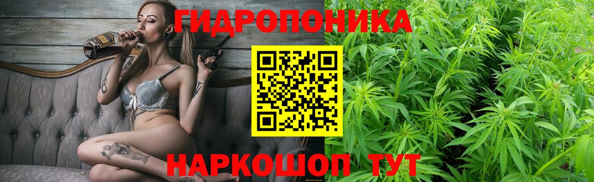 Бошки Шишки сатива  Вход с VPN  Обнинск  Марихуана VHQ 